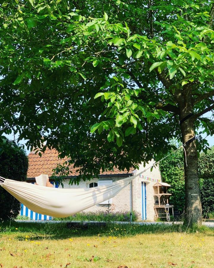 Hamiora Wellness B&B Deinze Extérieur photo