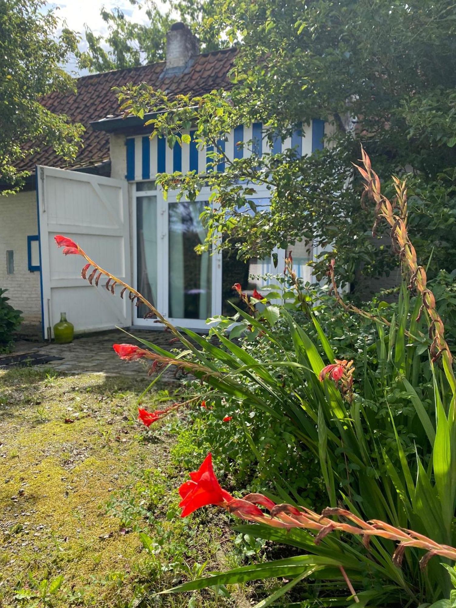 Hamiora Wellness B&B Deinze Extérieur photo