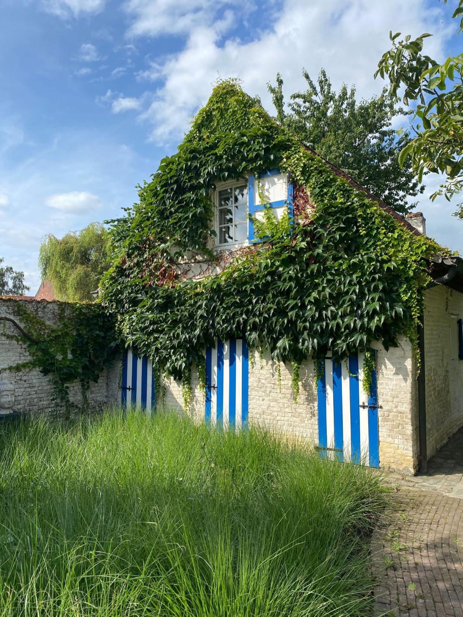 Hamiora Wellness B&B Deinze Extérieur photo