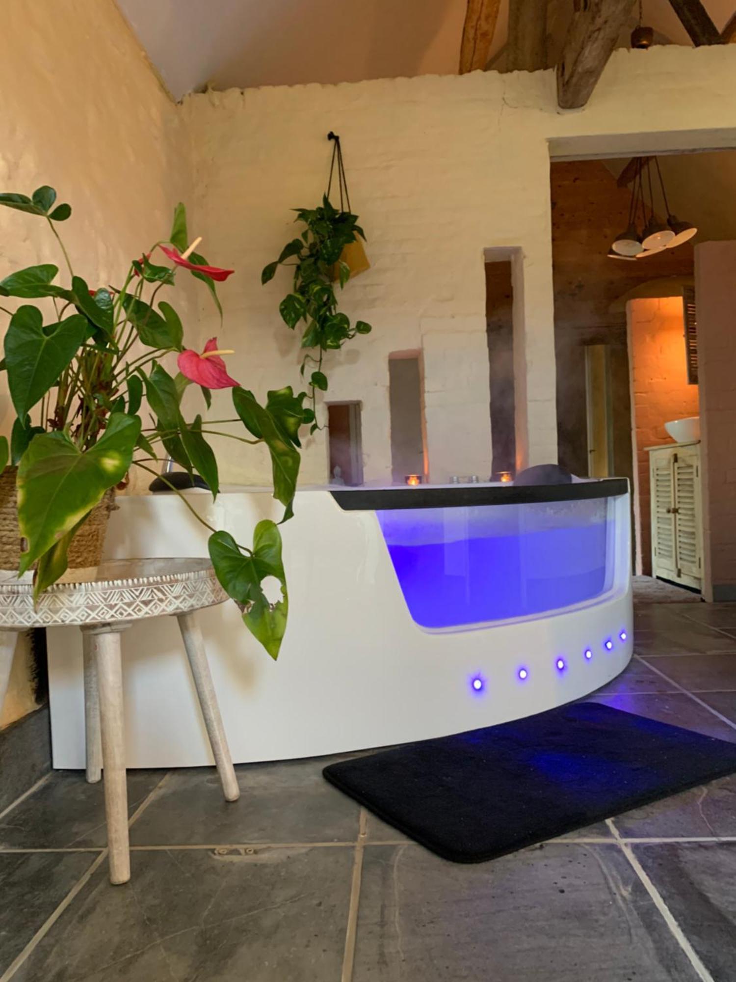 Hamiora Wellness B&B Deinze Extérieur photo