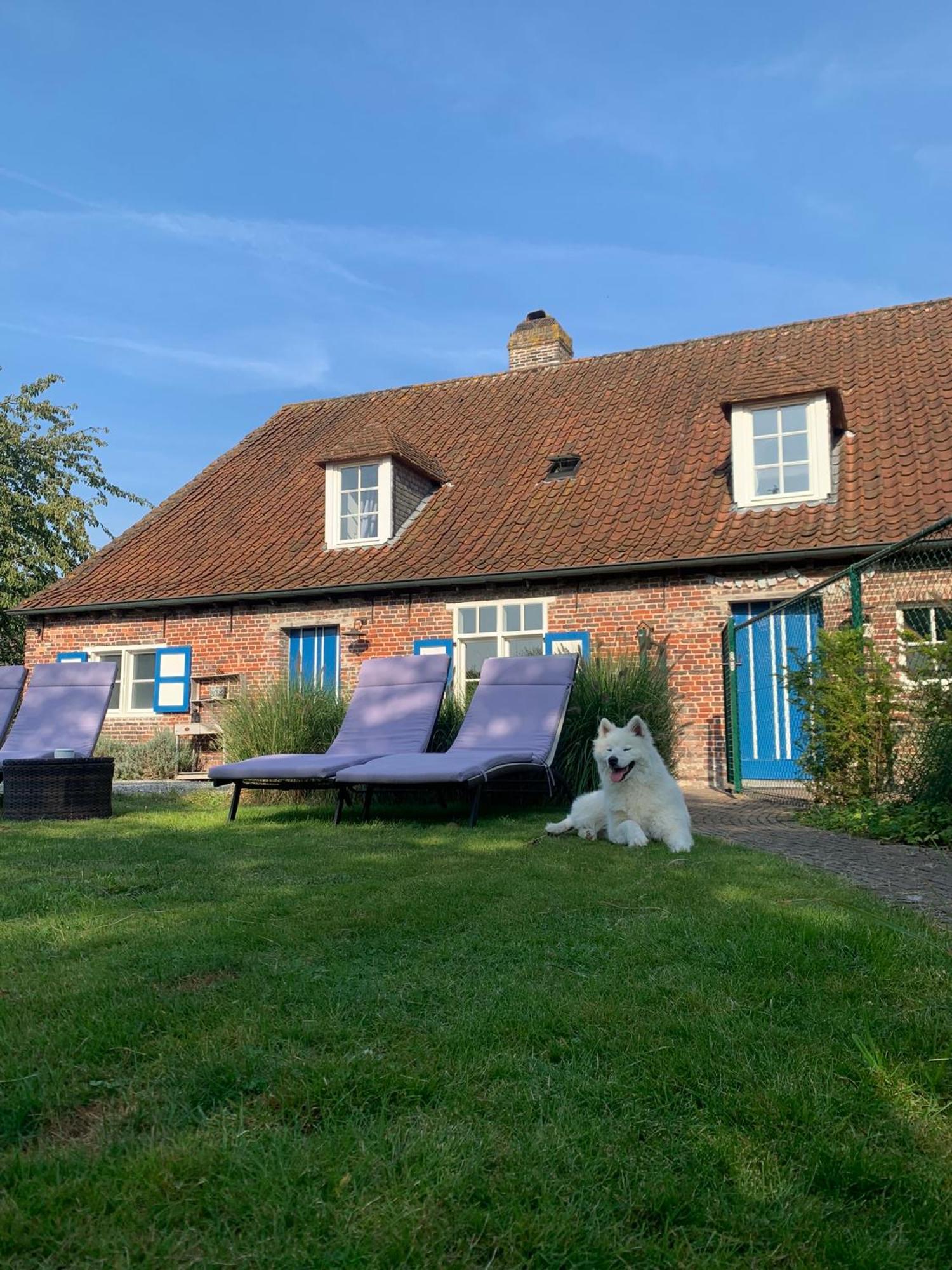 Hamiora Wellness B&B Deinze Extérieur photo