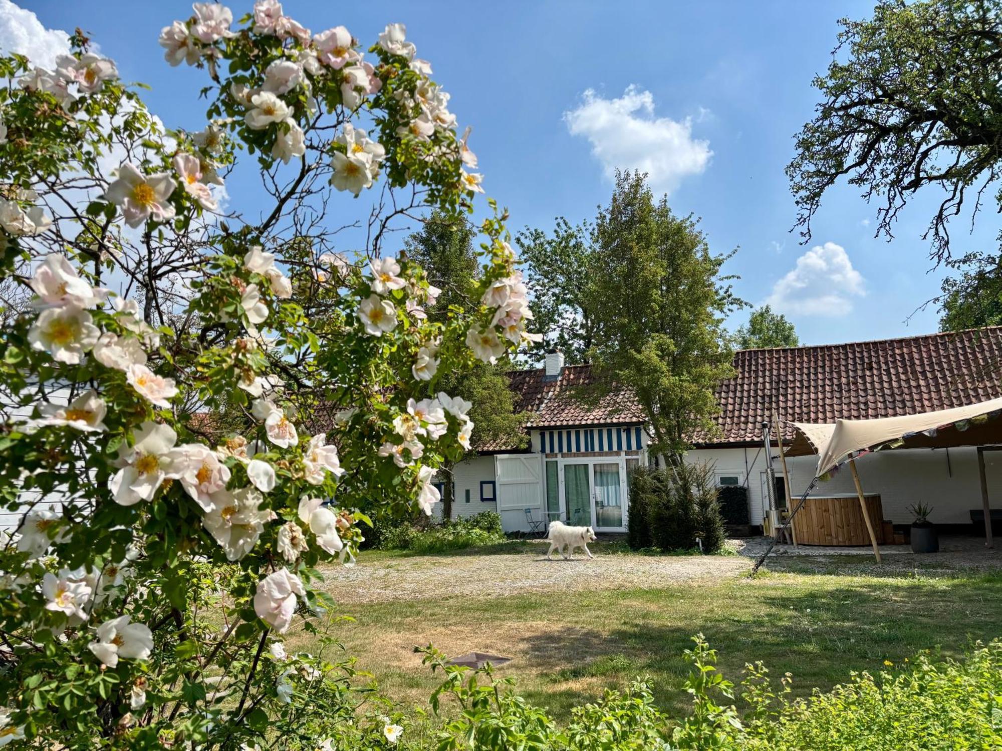 Hamiora Wellness B&B Deinze Extérieur photo